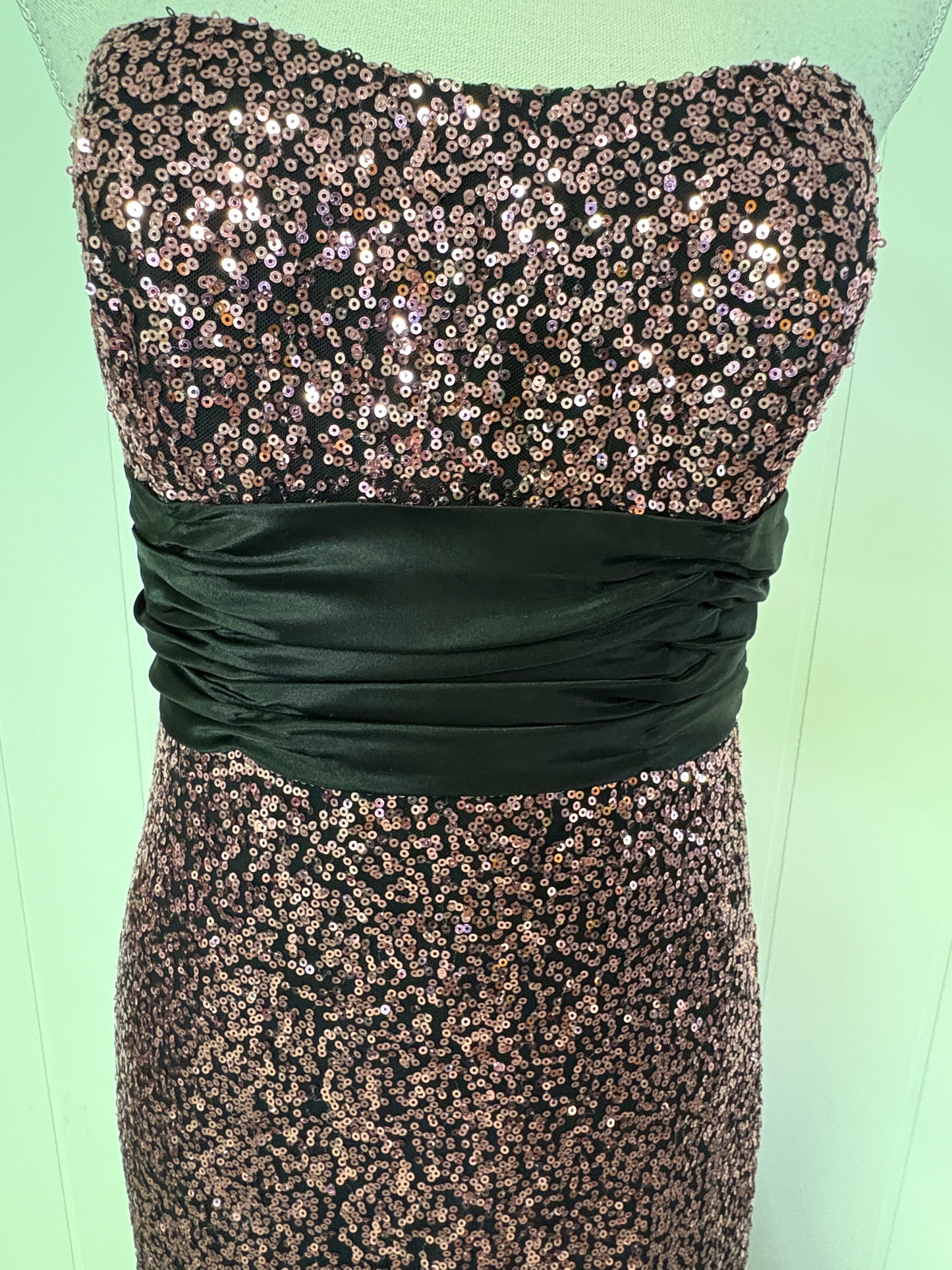 Formal Strapless Sequin Dress
