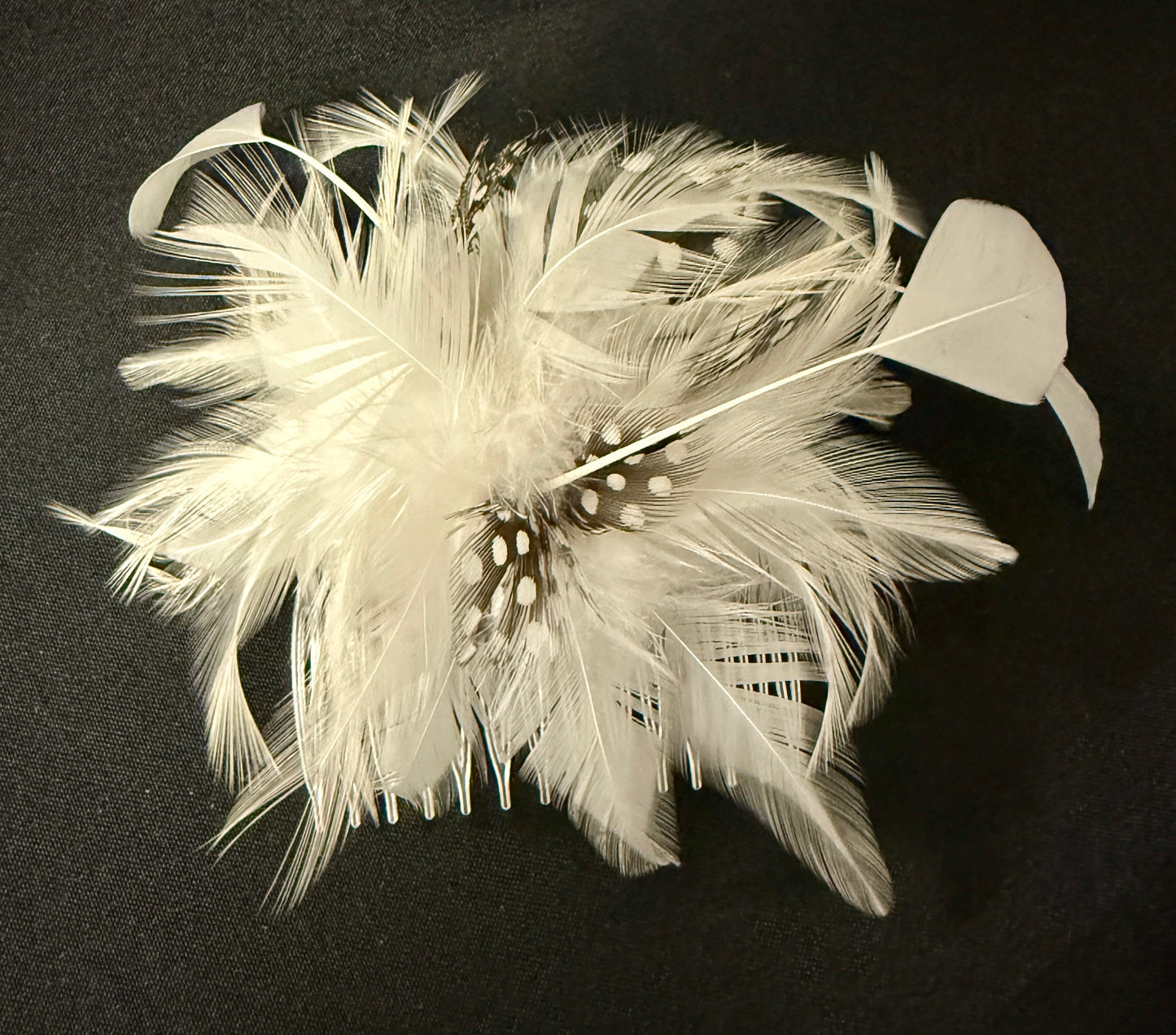 Formal Accessories Feathers