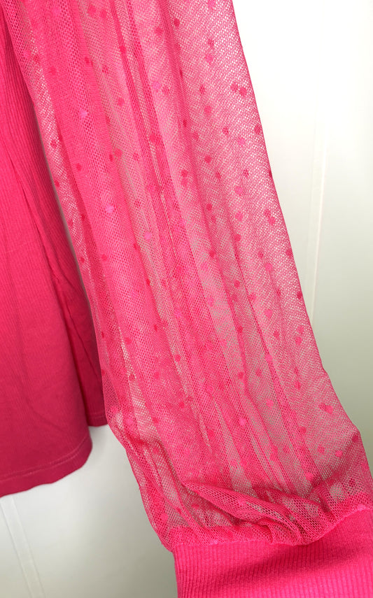 Dotted Mesh Sleeve Top