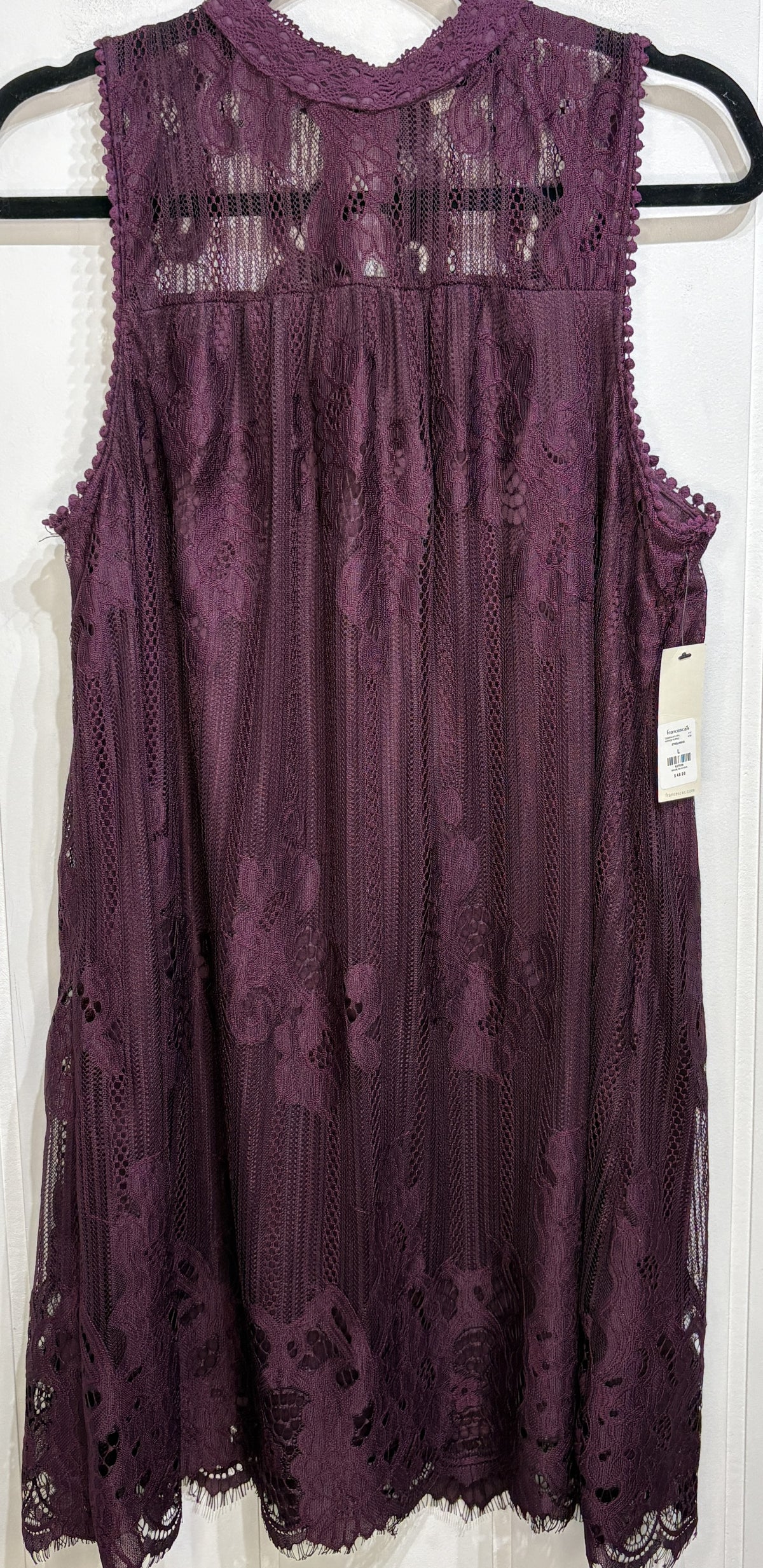 Francesca's Sleeveless Lace Dress