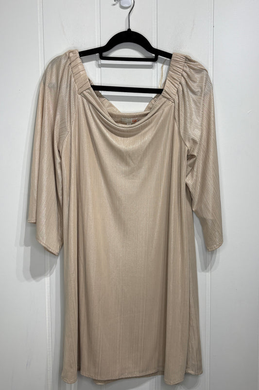 Off Shoudler Tunic Blouse