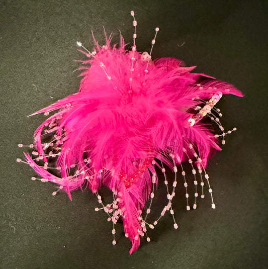 Formal Accessories Feathers