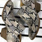 Fergie Snakeskin Zipper Booties