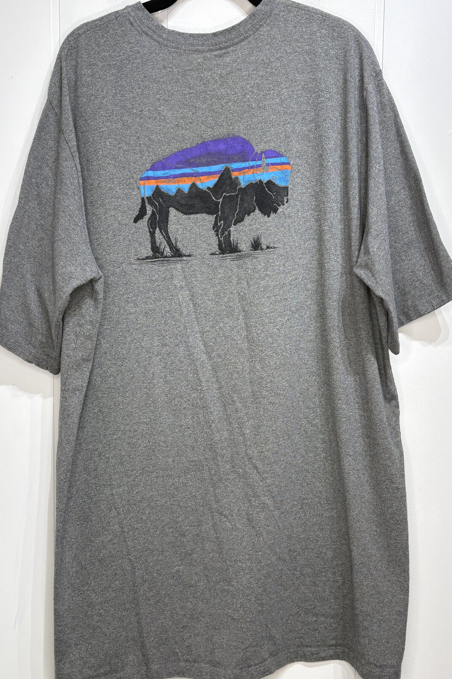 Men's Patagonia Tee