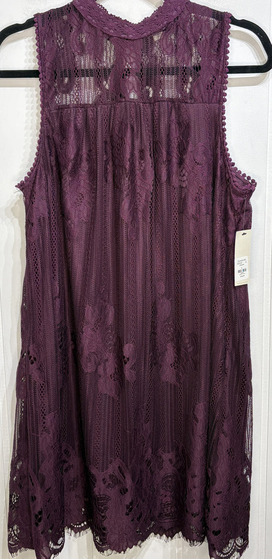 Francesca's Sleeveless Lace Dress