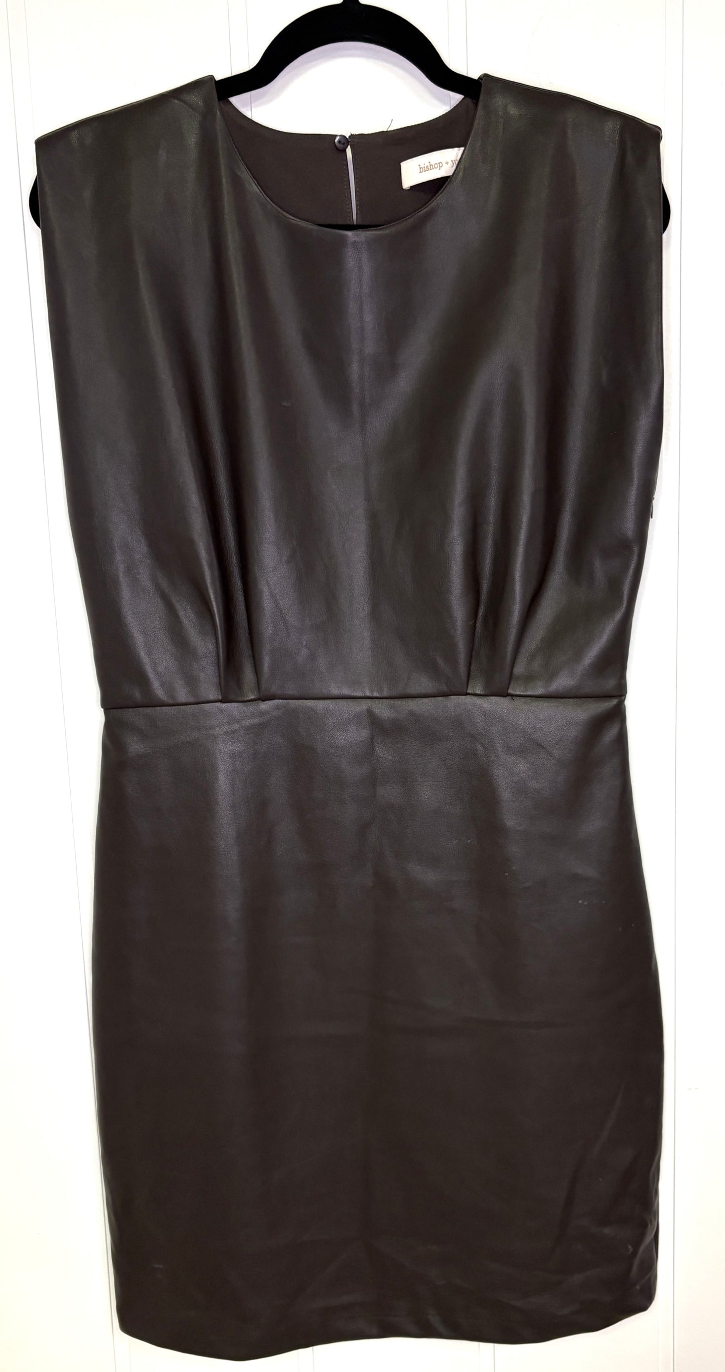 Faux Leather Dress