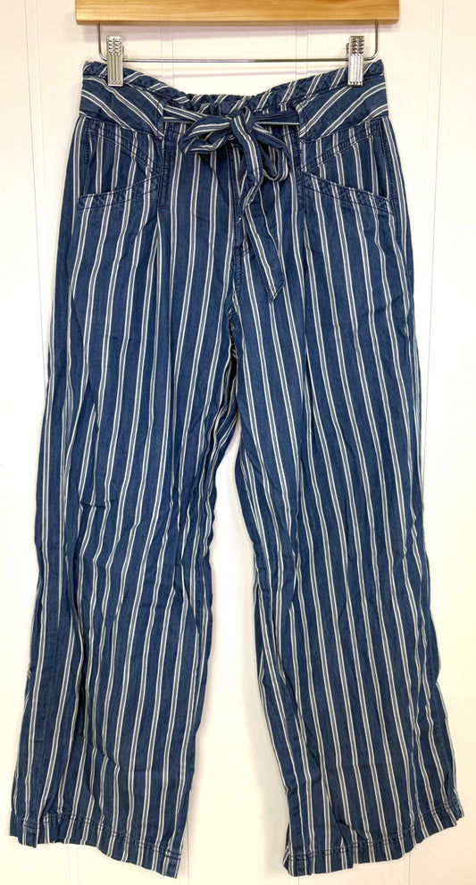 AE Wide Leg Stripe Pants