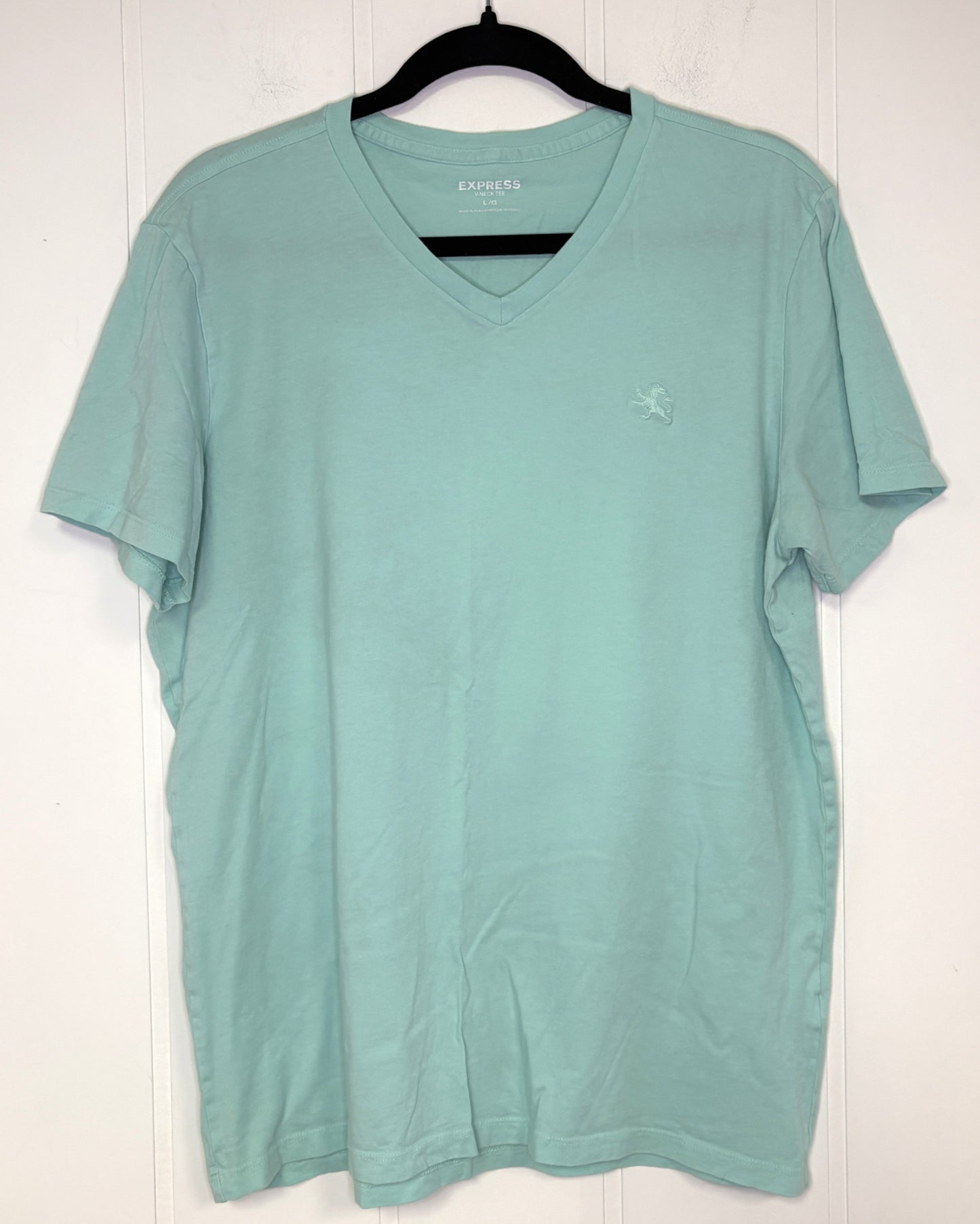 V-Neck Express T-Shirt