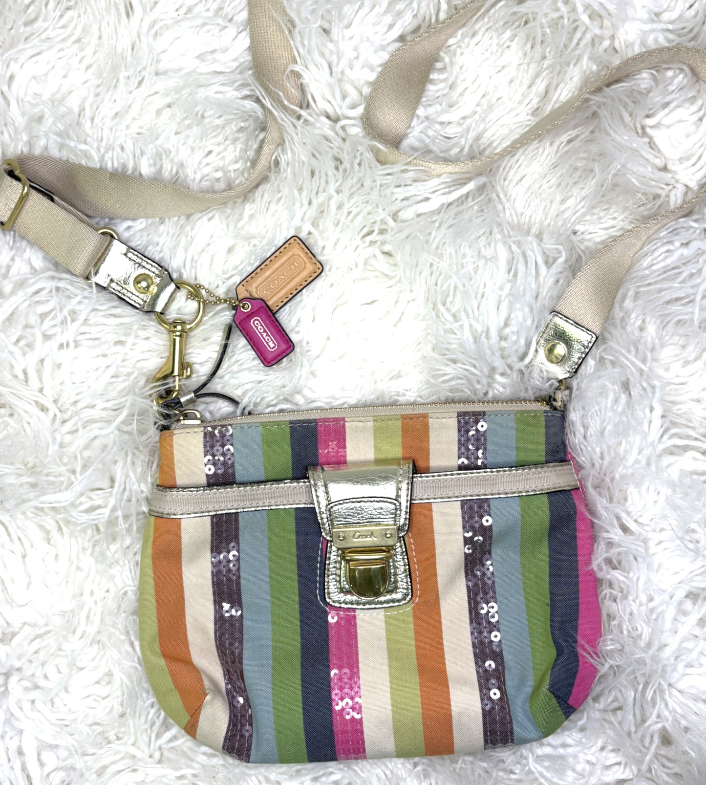 Coach Stripe Crossbody Bag