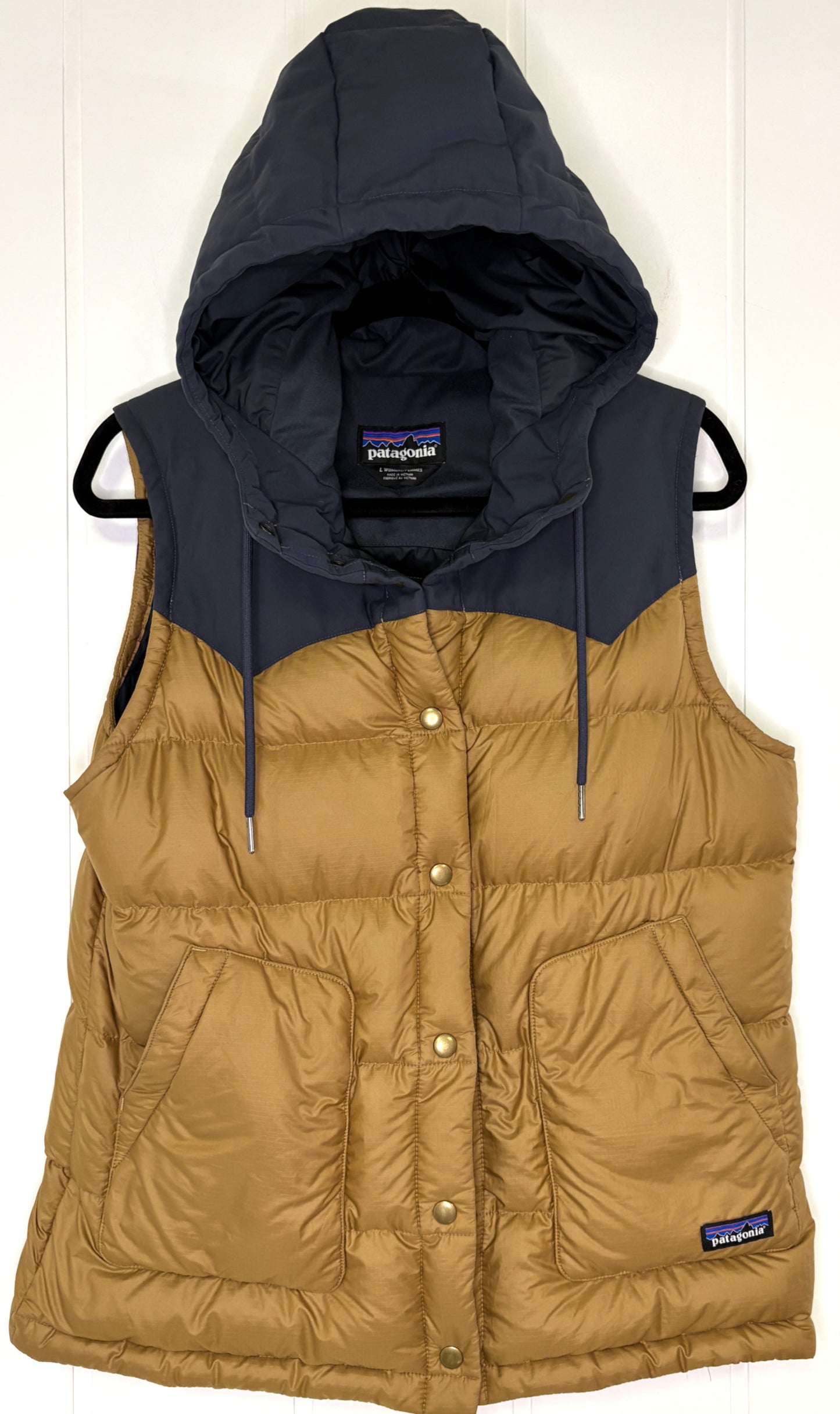 Patagonia Hooded Puffer Vest