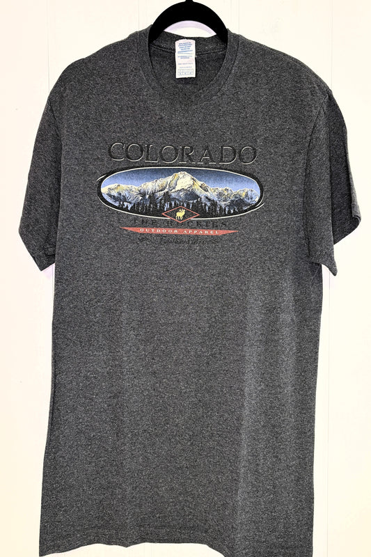 Delta Pro Weight Graphic Tee's