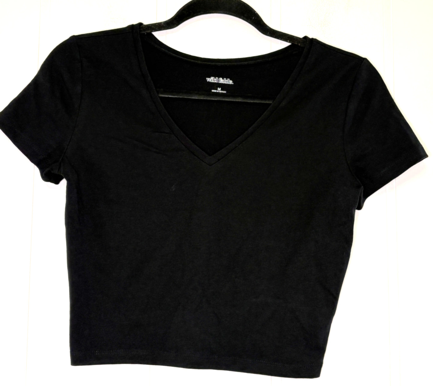 Wild Fable Crop Tee