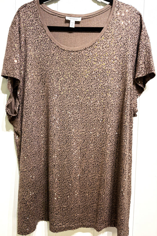 Dressbarn Sequin Top