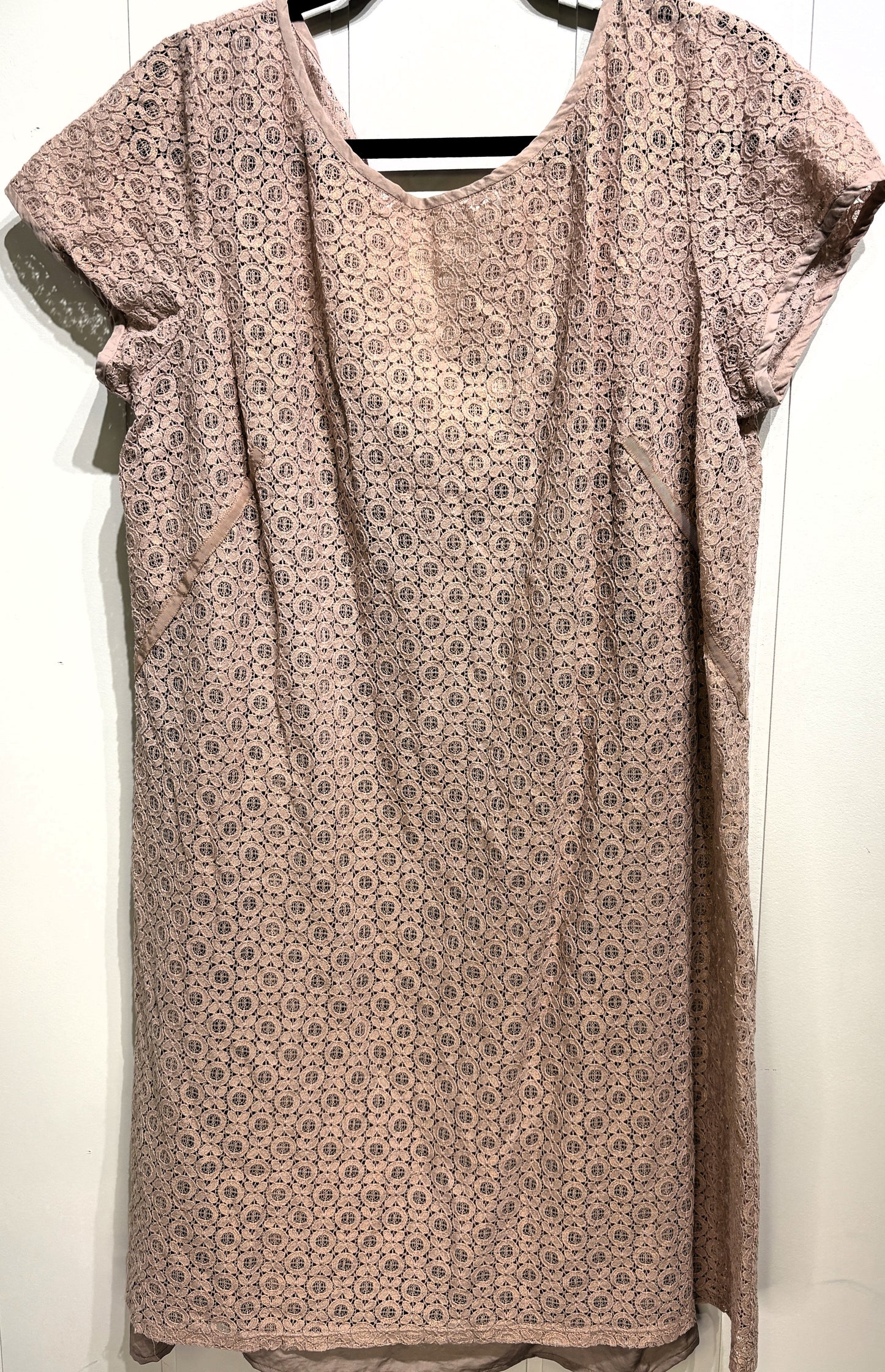 Loft SS Lace Shift Dress
