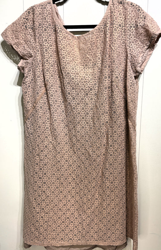 Loft SS Lace Shift Dress