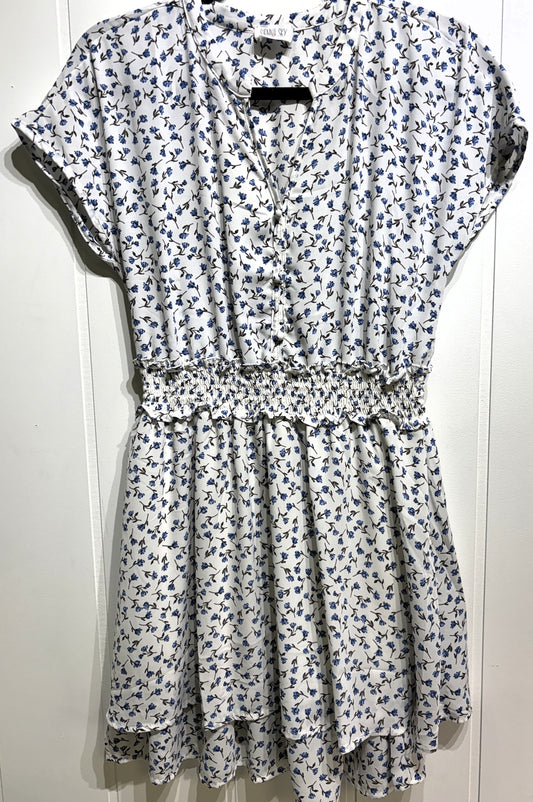 Sienna Sky Floral Button Dress