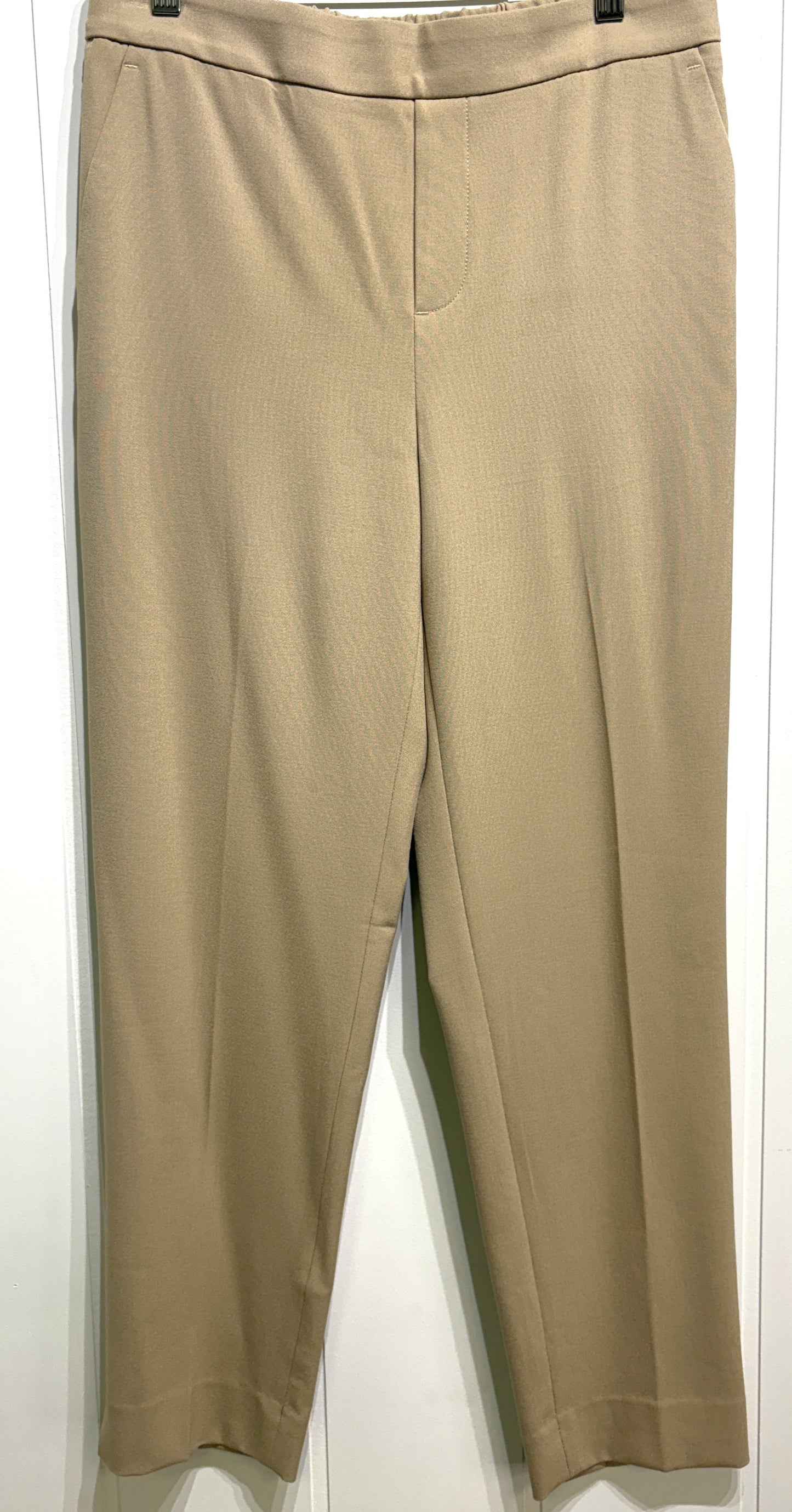 Banana Republic Hayden Dress Pant