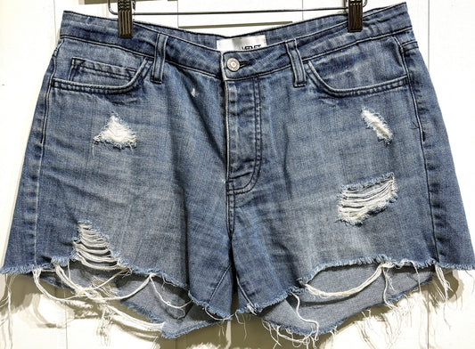 Vervet Distressed Denim Shorts