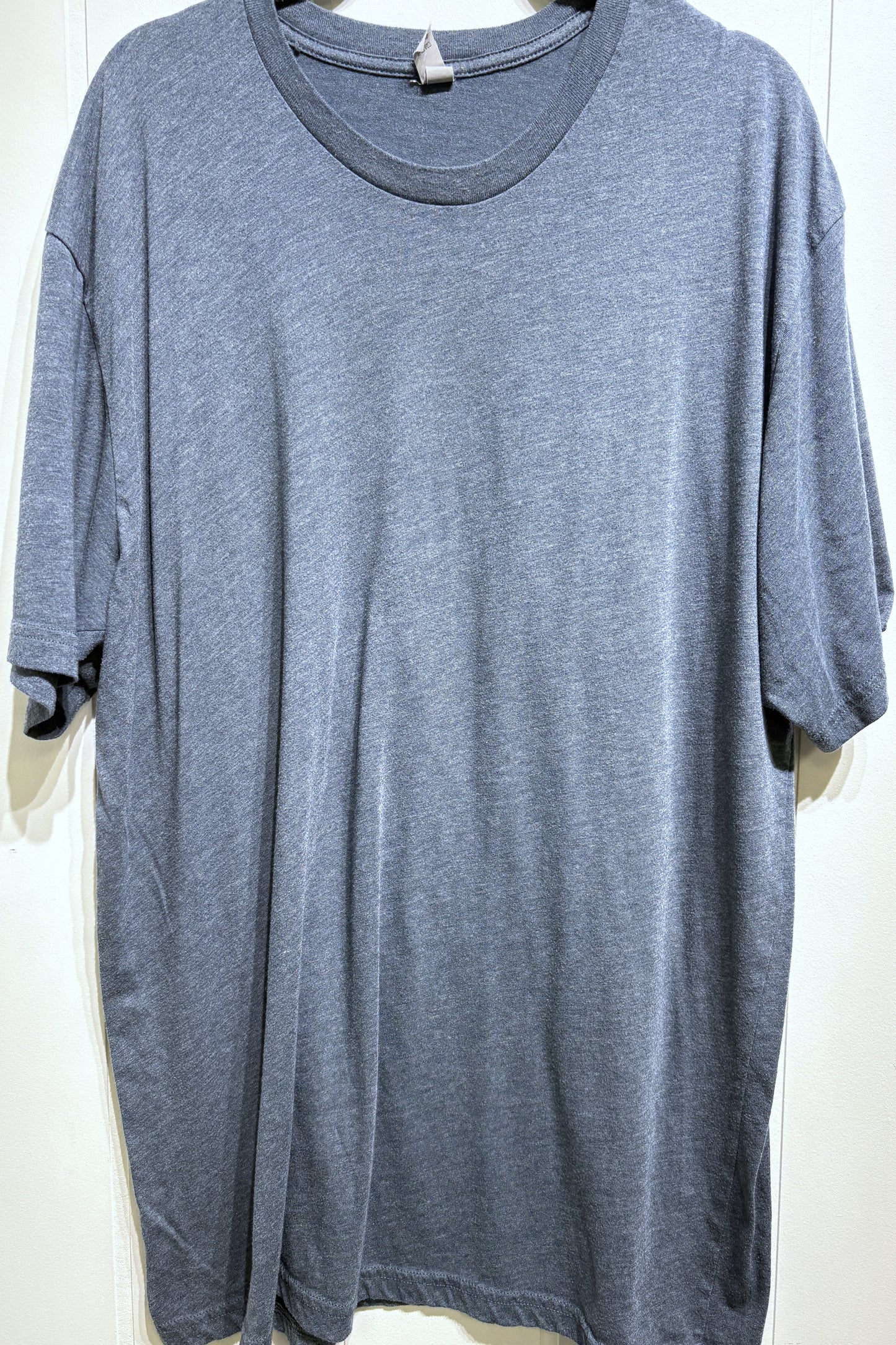 Men's Next Level Apparel Plain Tee
