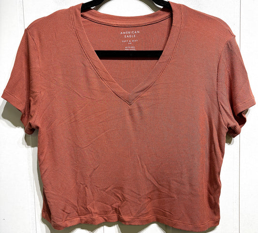 AE Ribbed V-Neck Cropped Tee