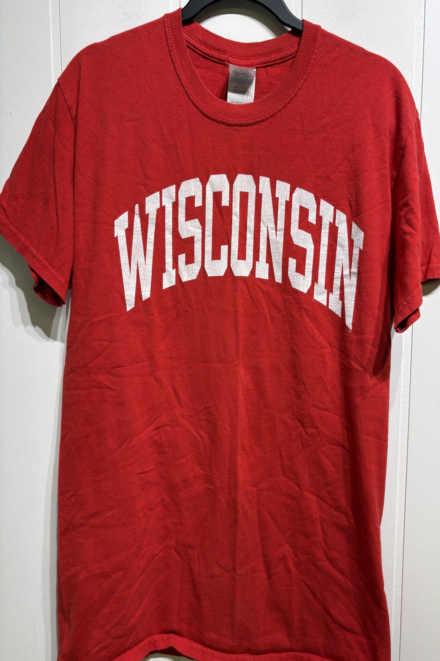 Men's Gildan Wisconsin Tee