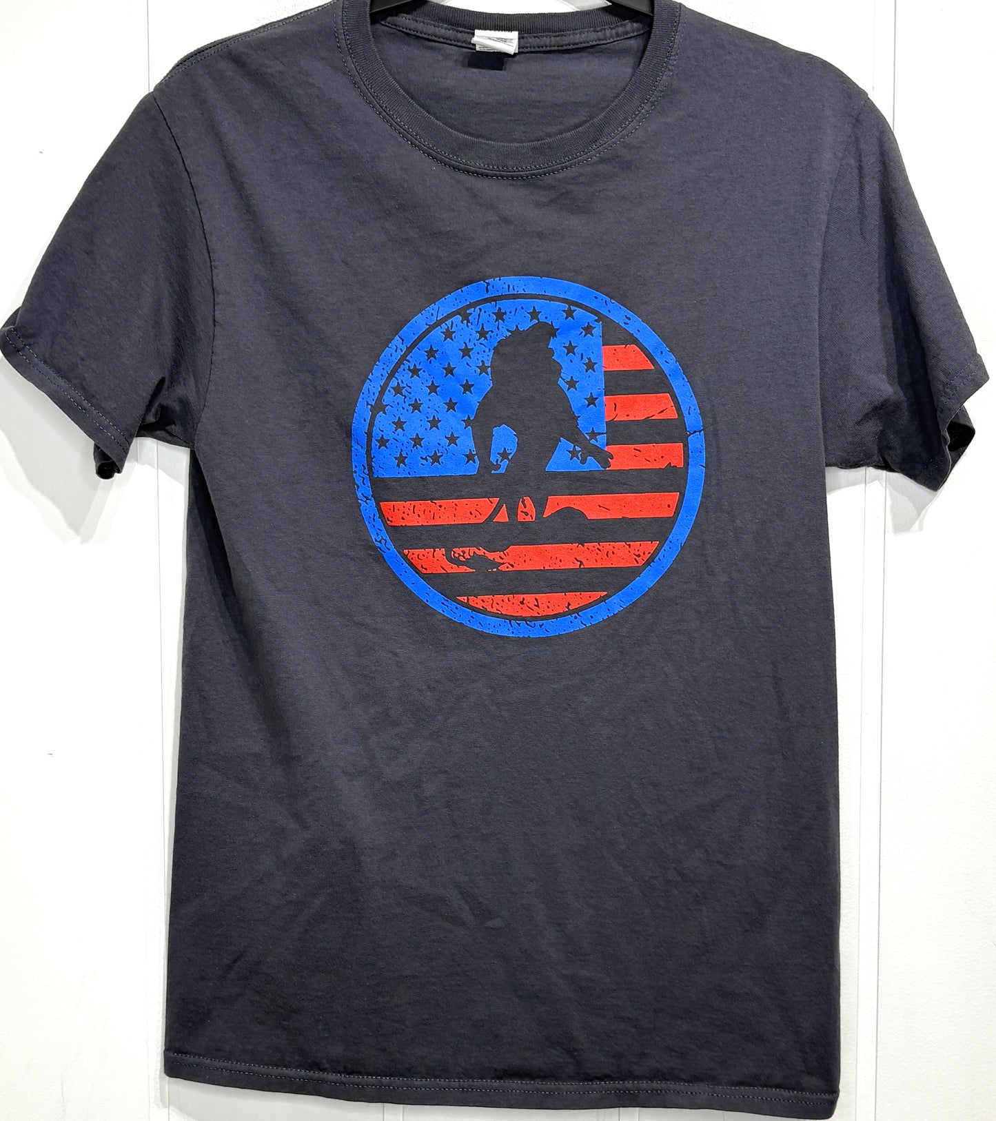 Fruit of the Loom Patriotic Circle Tee