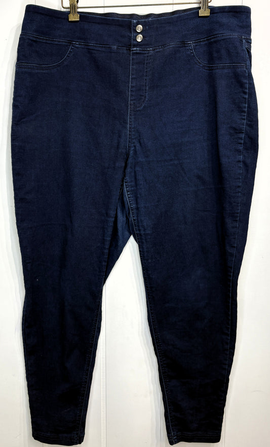 Terra & Sky Denim Jeggings