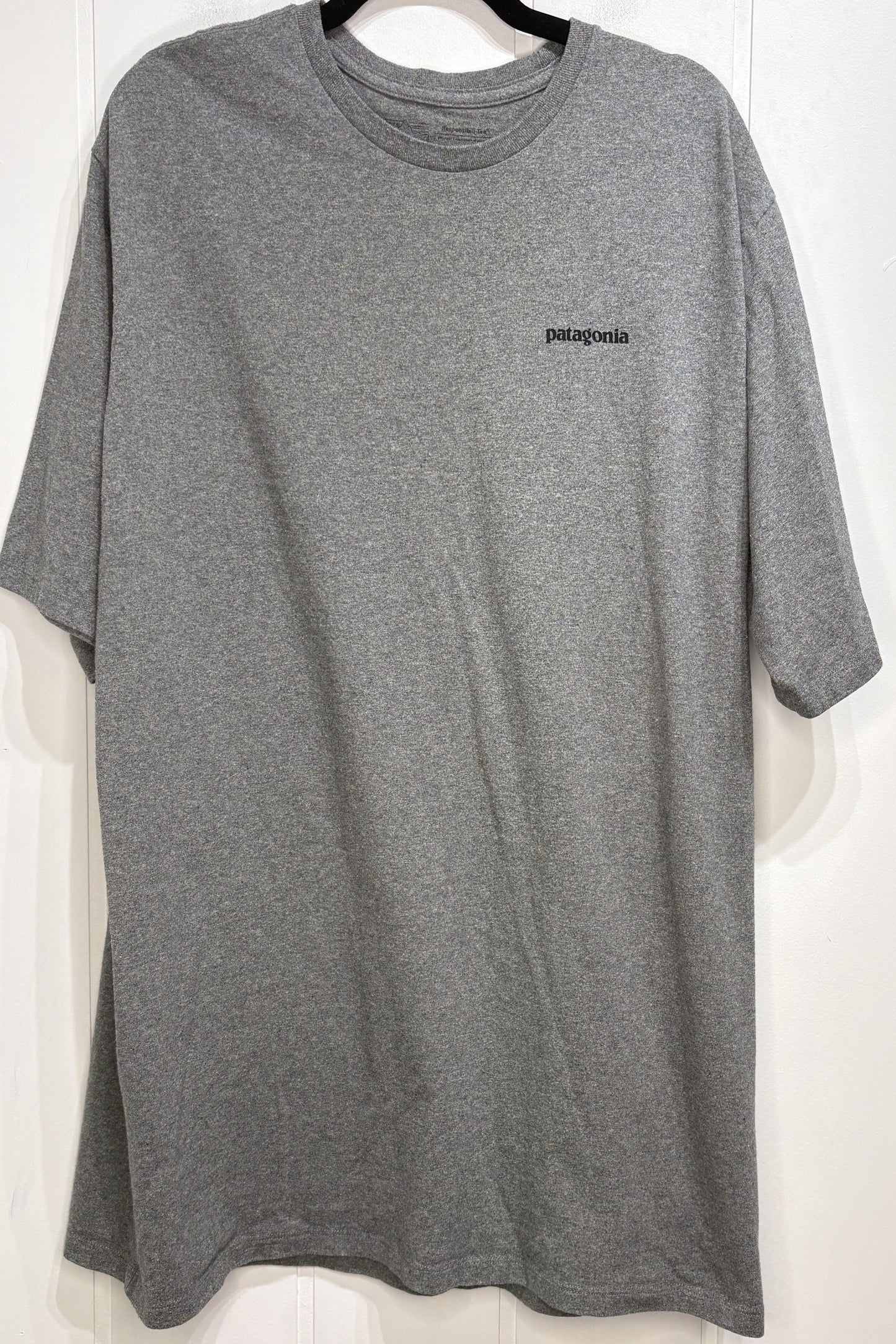 Men's Patagonia Tee
