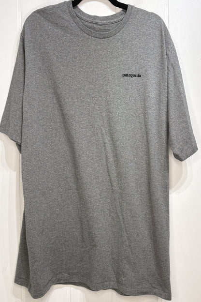 Men's Patagonia Tee