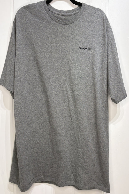 Men's Patagonia Tee