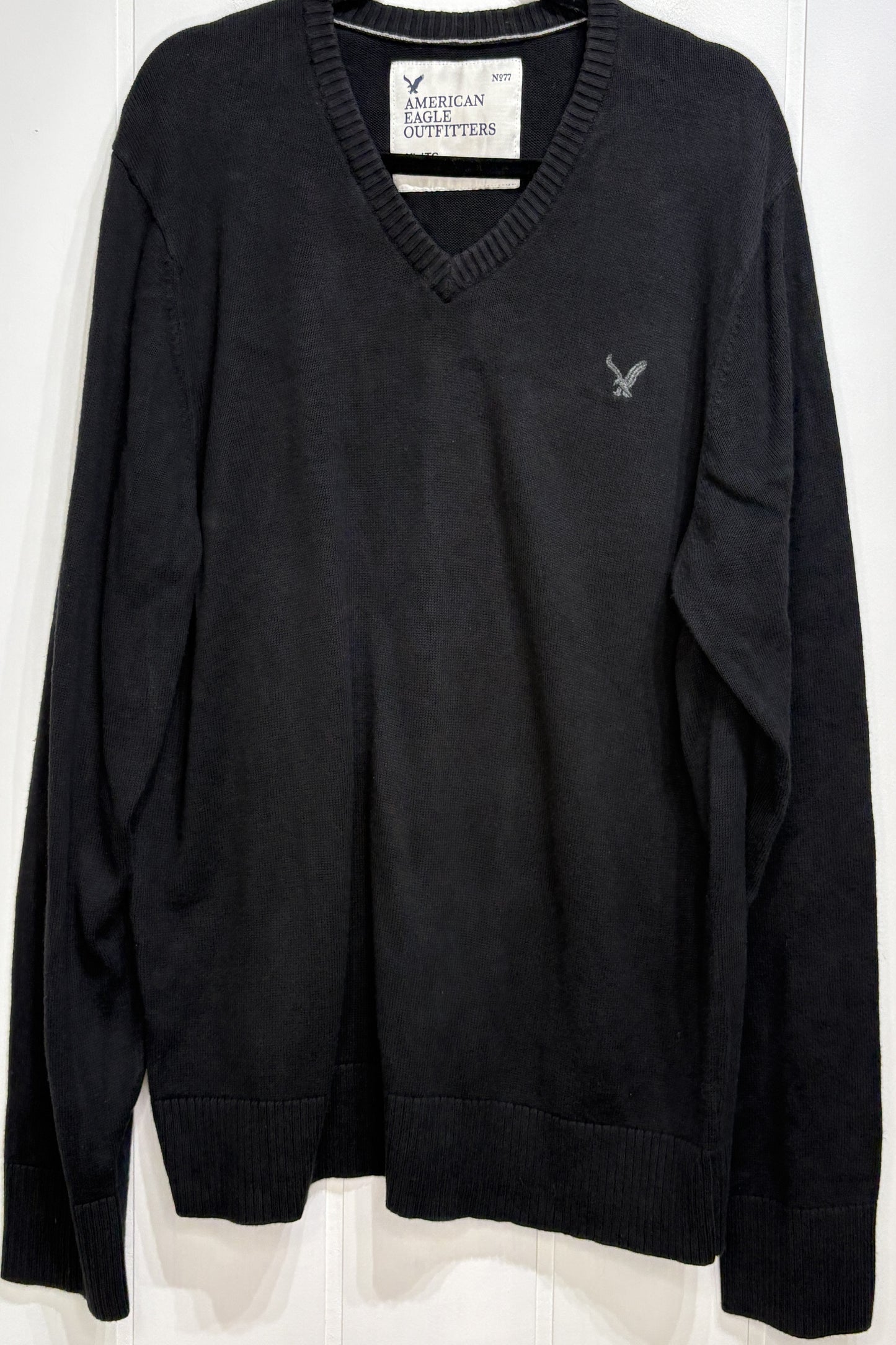 Men's AEO LS V-Neck Sweater