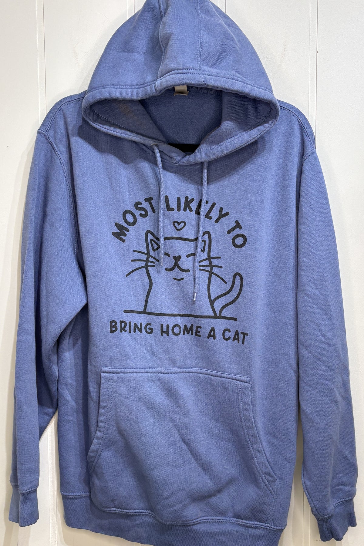 Most Likely To Bring Home Cat Hoodie