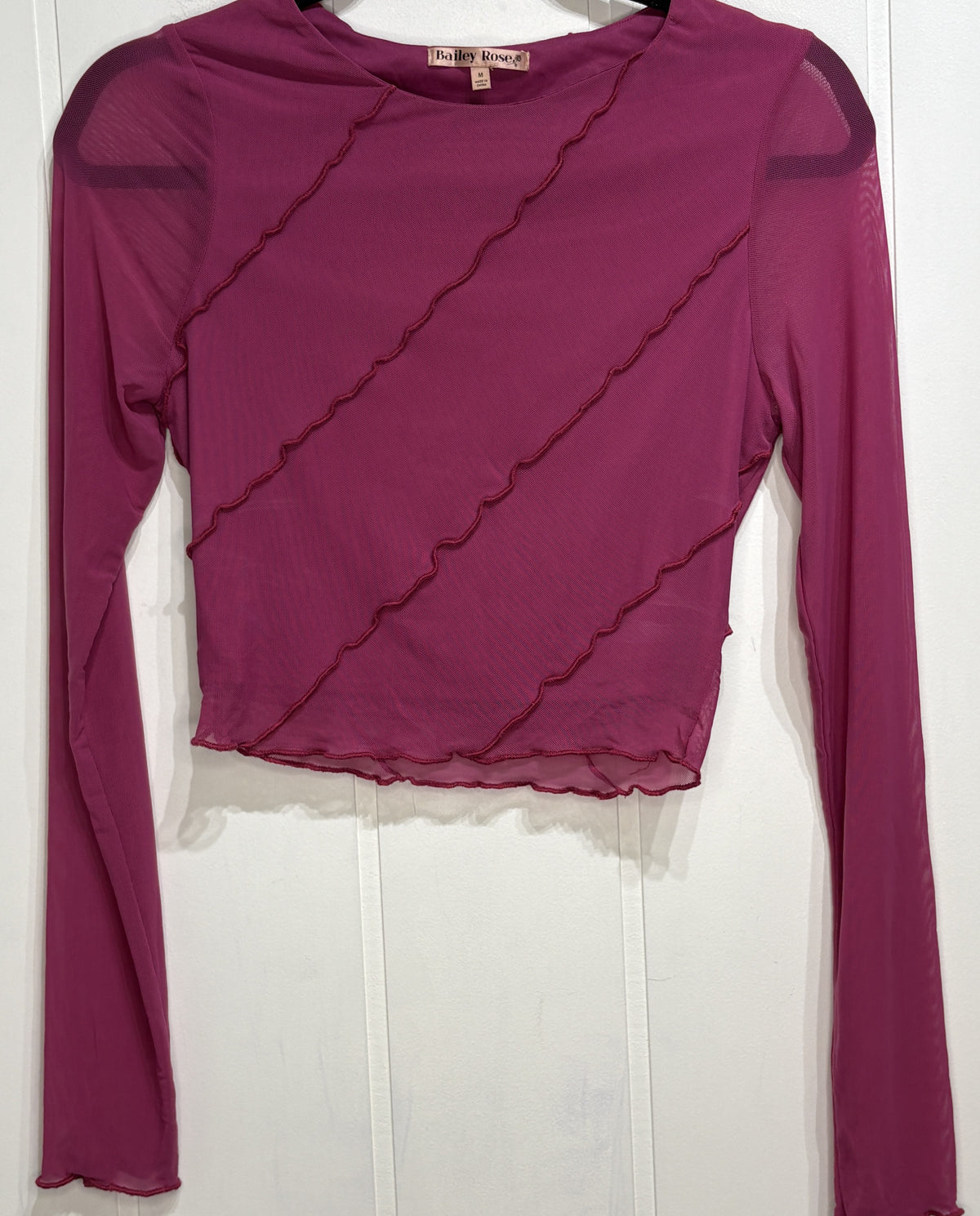 Bailey Rose Cropped Mesh Top